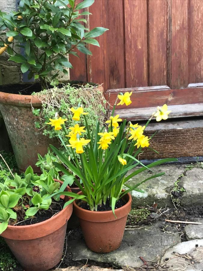 Dove Cottage Bisley  エクステリア 写真