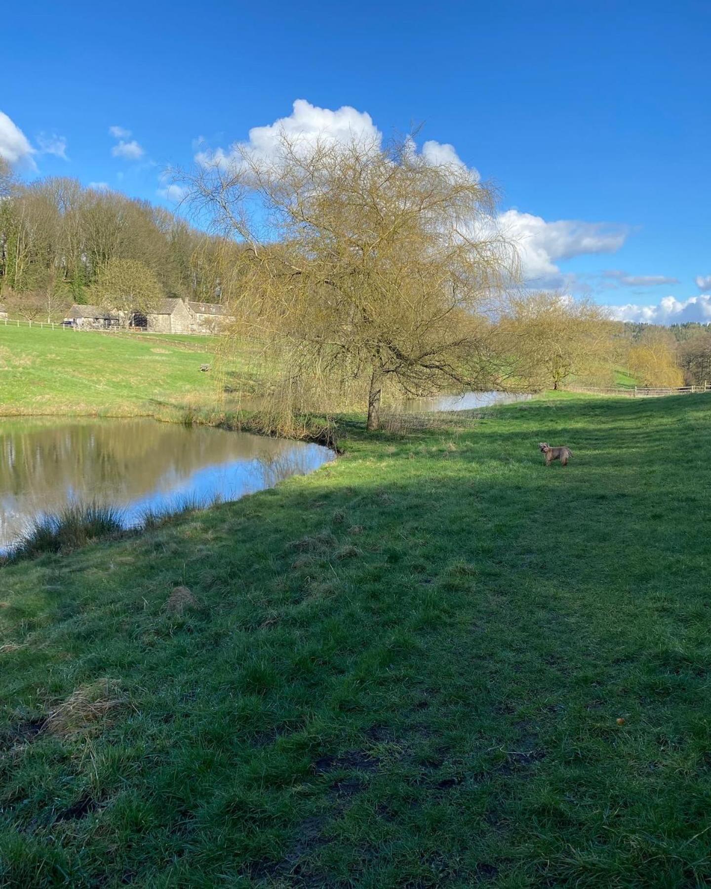 Dove Cottage Bisley  エクステリア 写真