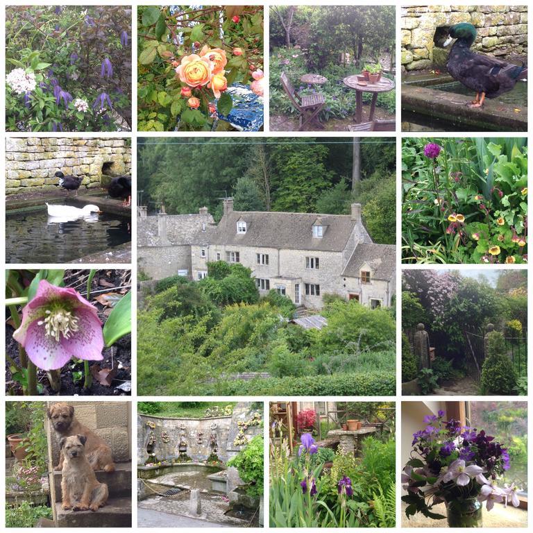 Dove Cottage Bisley  エクステリア 写真