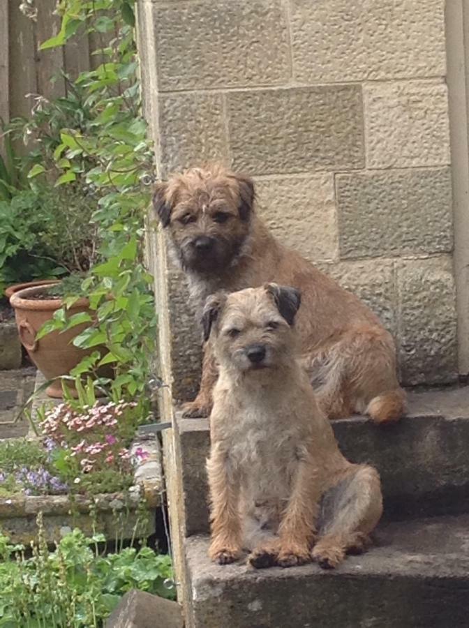 Dove Cottage Bisley  エクステリア 写真